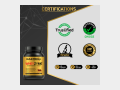 WheyZyme - Absorption Whey Protein - Lifestyle 1