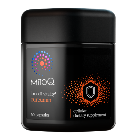 MitoQ +- MitoQ +Curcumin
